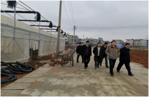 建行江西省分行项目评估组来我司实地调研现代农业科技示范园项目
