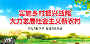 实施乡村振兴战略的切入点和发力点