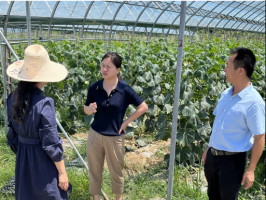 市农发集团调研组深入挂点帮扶村 调研乡村振兴工作