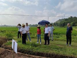 东莞市太粮集团董事长曾丽芳一行 来市农发集团洽谈粮食产销合作