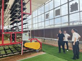 酷暑农事忙，插秧正当时