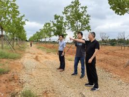 市农发集团公司纪委书记万福兴实地督查项目建设情况