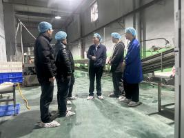 市农发集团党委副书记、总经理胡建军率队赴米粉生产企业调研