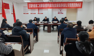 市委第二巡察组向市农发集团党委反馈巡察情况