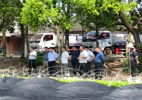 中国林科院专家团队赴抚州市林业集团省级重点保障性苗圃调研